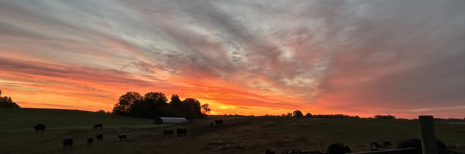 ChadMardis's profile banner image