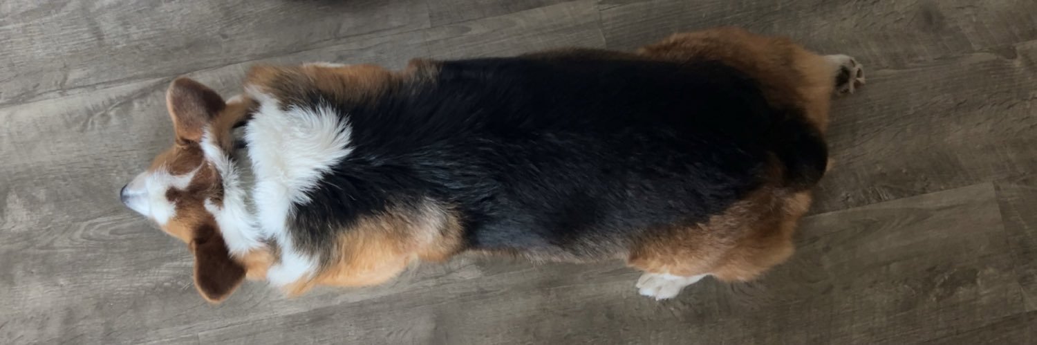 jake_ory's profile banner image