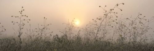 lynnedsay_'s profile banner image