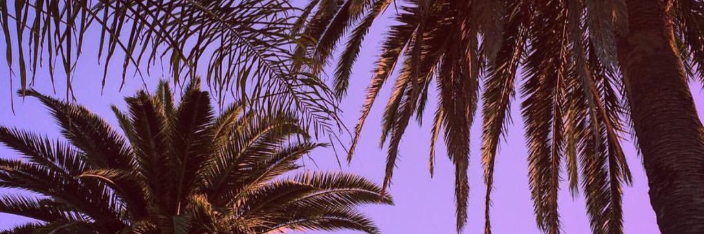 SaveTheSociety banner
