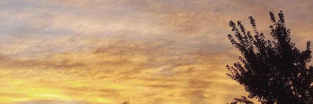 AmethystFae's profile banner image
