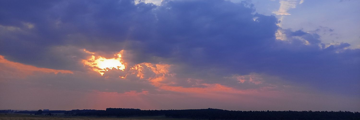 LeandroFlowers3's profile banner image