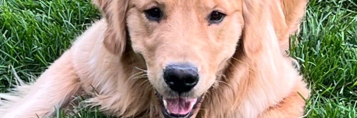 connortilll's profile banner image