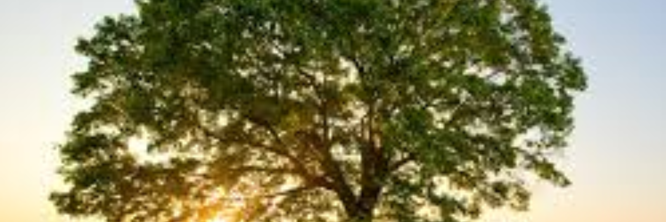KristenModes's profile banner image