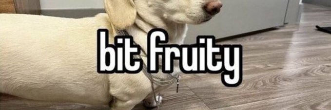tifftacks's profile banner image
