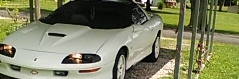 codeylee43's profile banner image