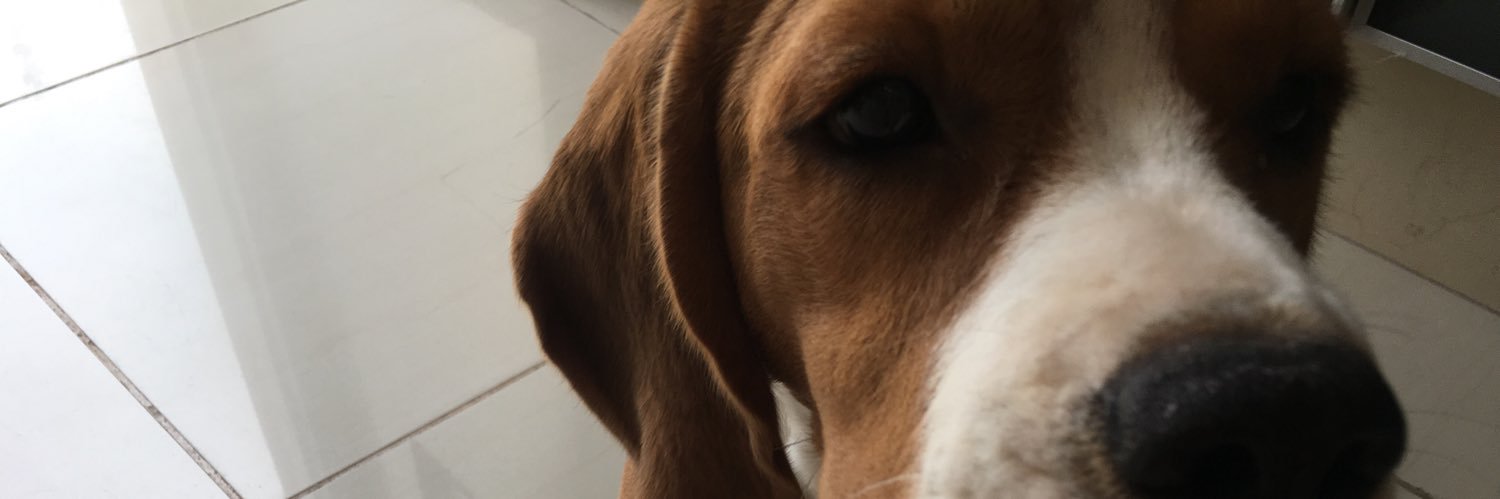 GeraldineGodz's profile banner image