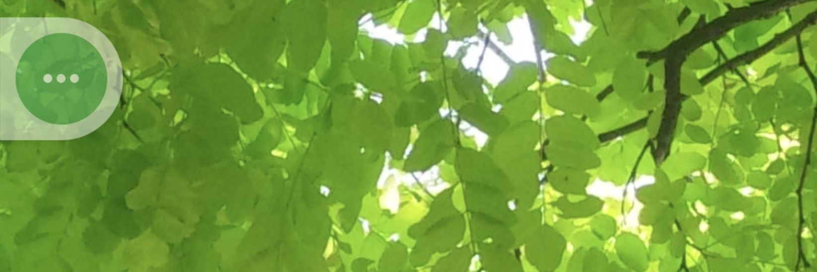 TOMURAM's profile banner image