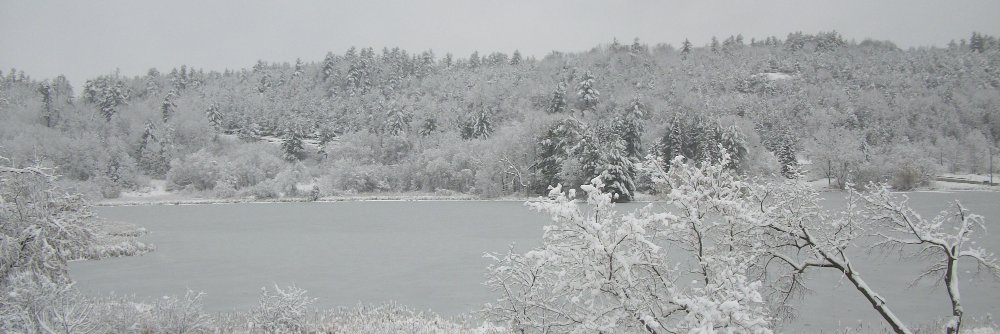 THERIDEAUCALLS's profile banner image