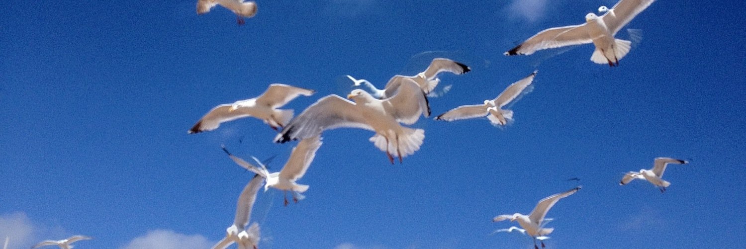 MACTYZA's profile banner image