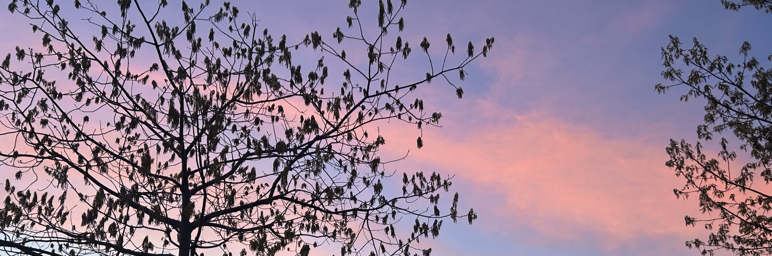 mauxo_'s profile banner image