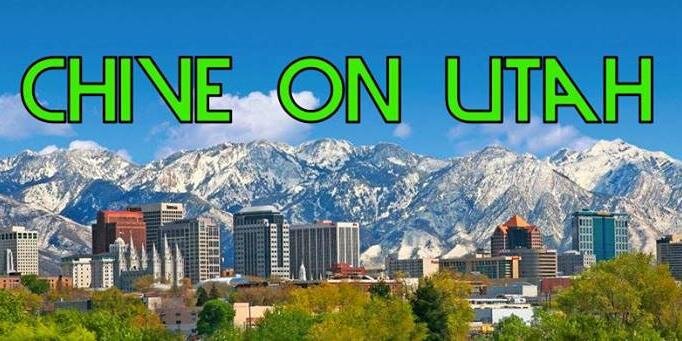 BeehiveChive's profile banner image