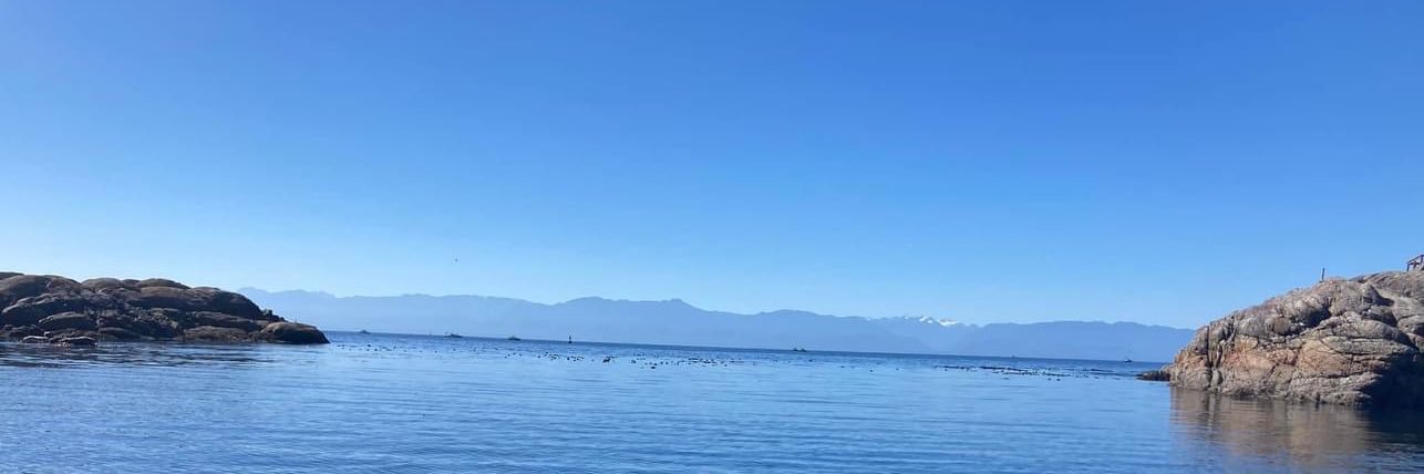 Debbie McNeil banner