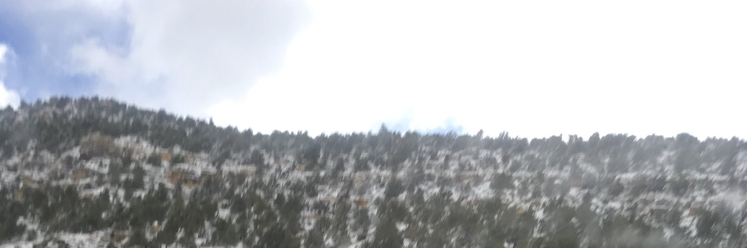 Dr. Elizabeth Craigg banner