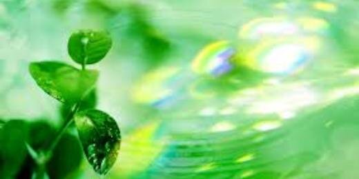 sinmalaliento's profile banner image