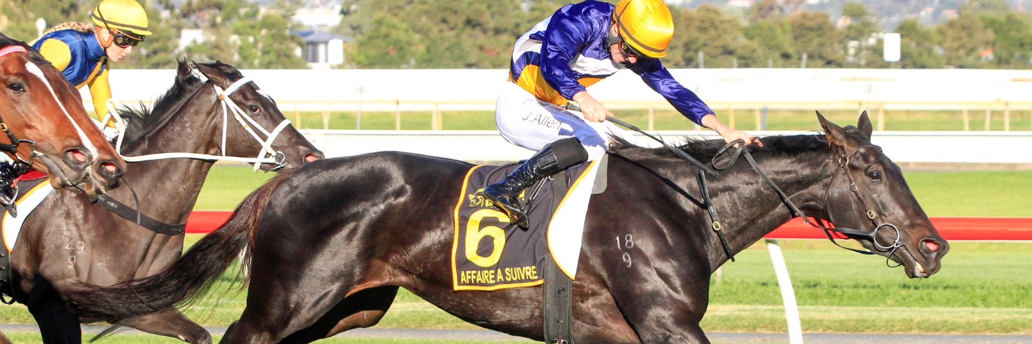 First Light Racing banner