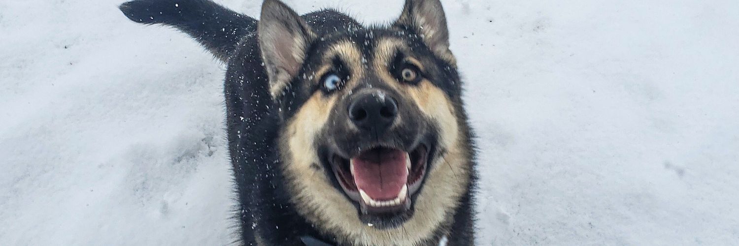 Shanthosh_Y's profile banner image