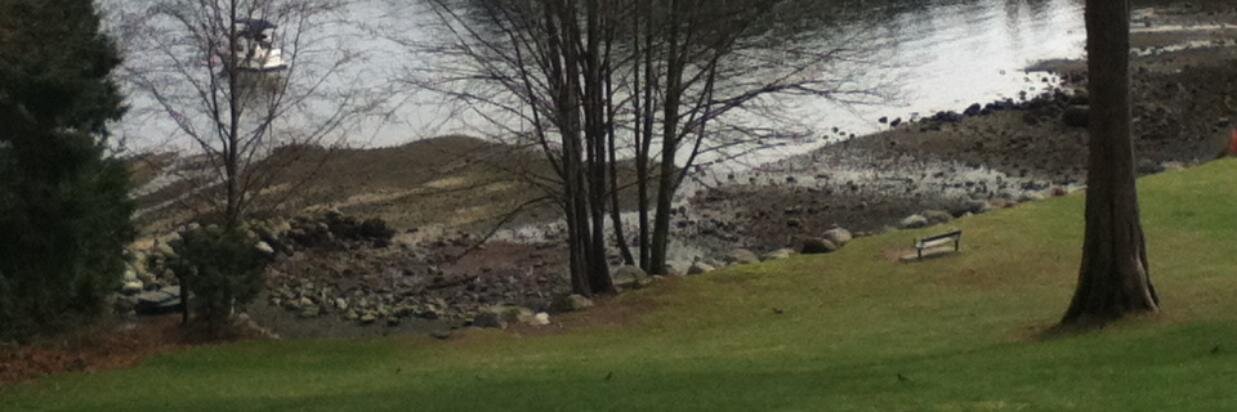 Panorama Park banner