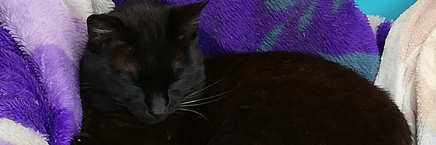 gen1594's profile banner image