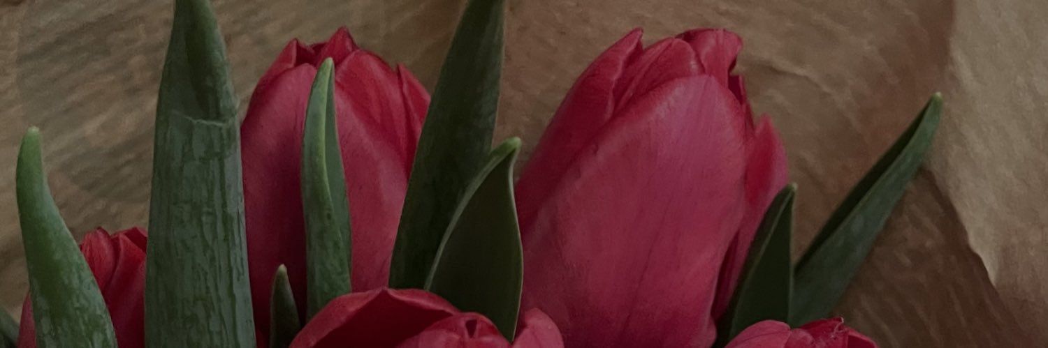Flashjunkmind's profile banner image
