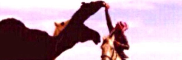 B___adr's profile banner image