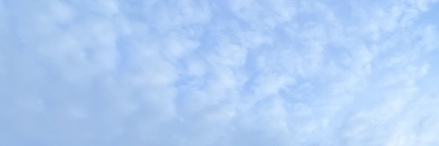 anicapl's profile banner image