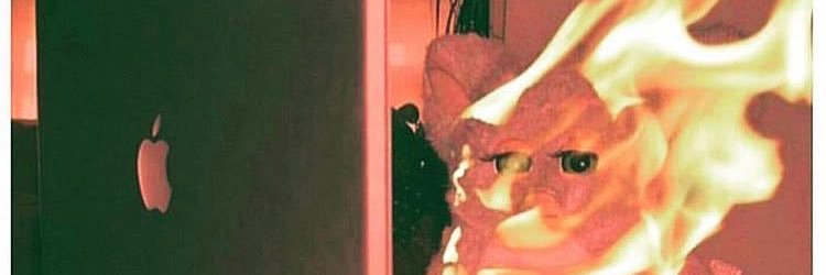 winniethefool banner