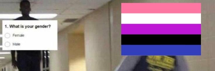 debowbee's profile banner image