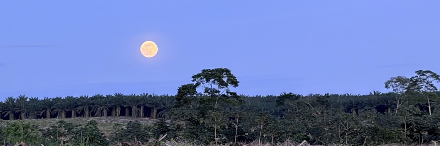 mystrleo's profile banner image