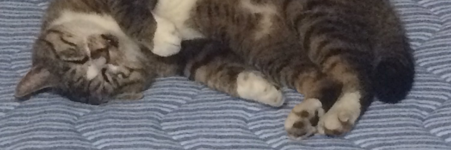 okigonbe's profile banner image