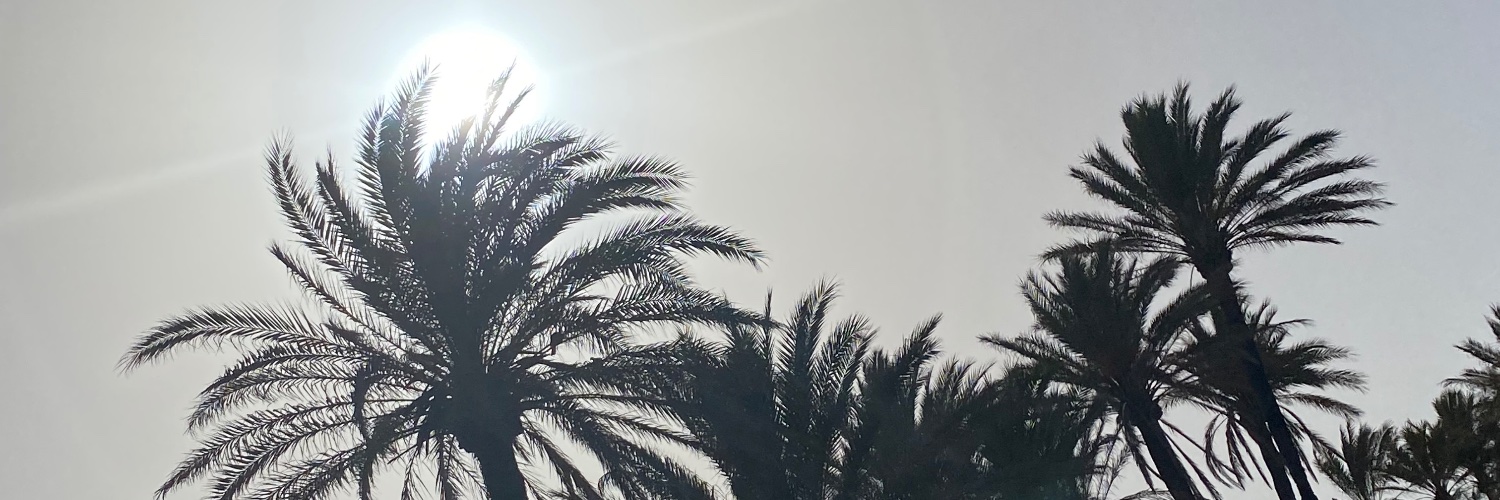 DeeFlodluva13's profile banner image