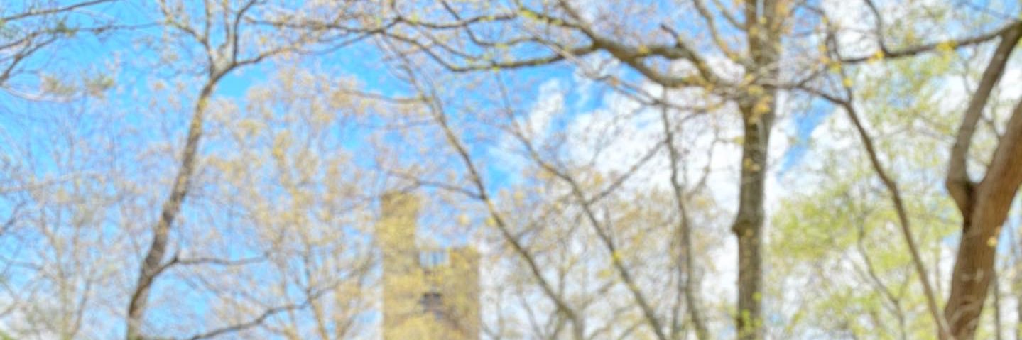 AlbertoSetor's profile banner image