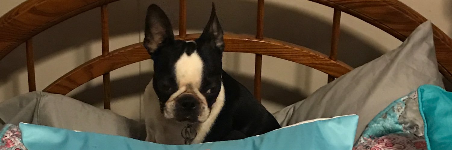 Pearl1962's profile banner image