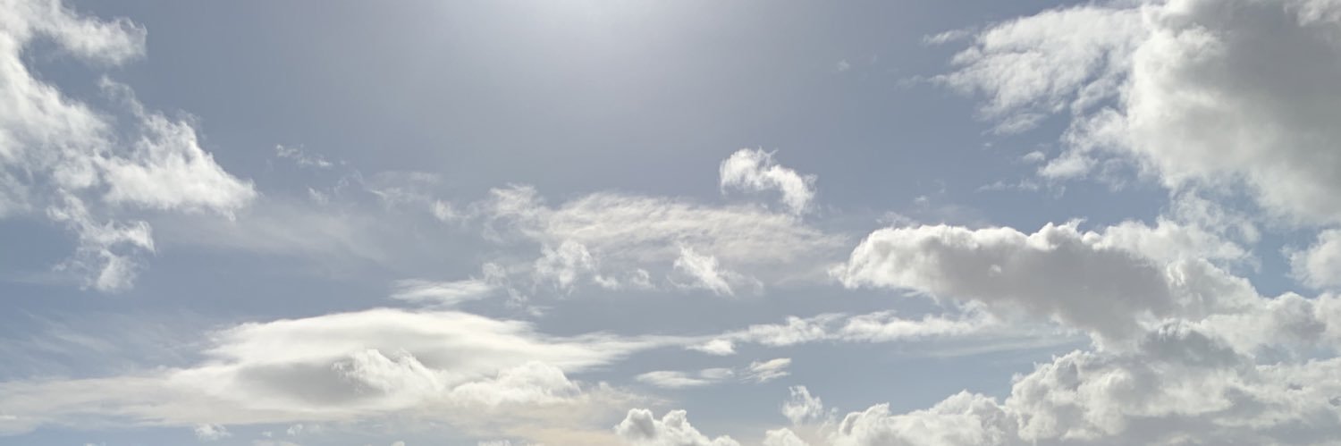 AllyStuart's profile banner image