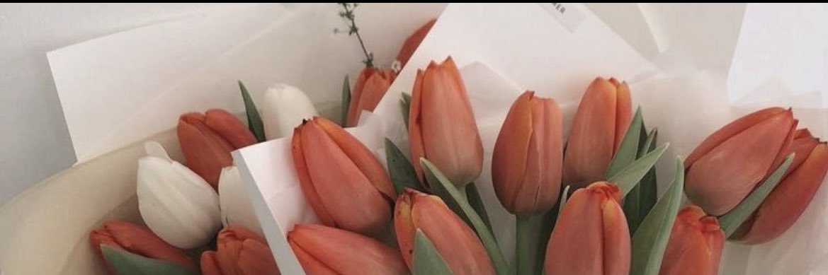 mvvvrm's profile banner image
