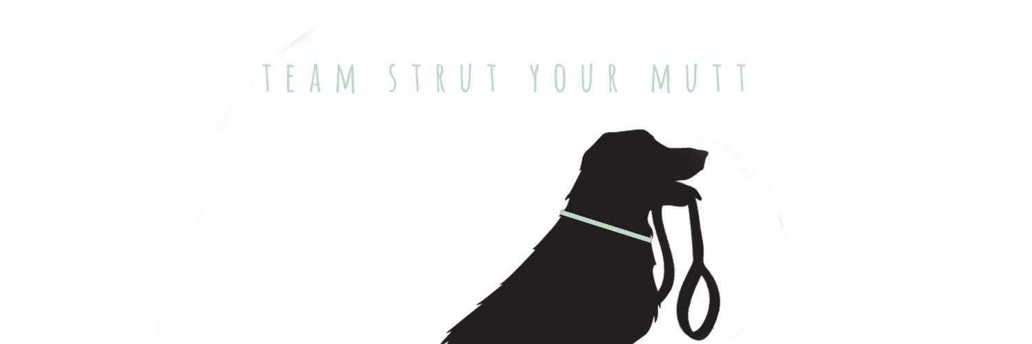 Team Strut Your Mutt banner