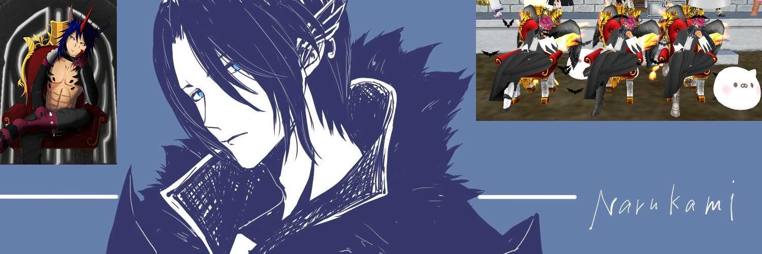 narukamidayo's profile banner image