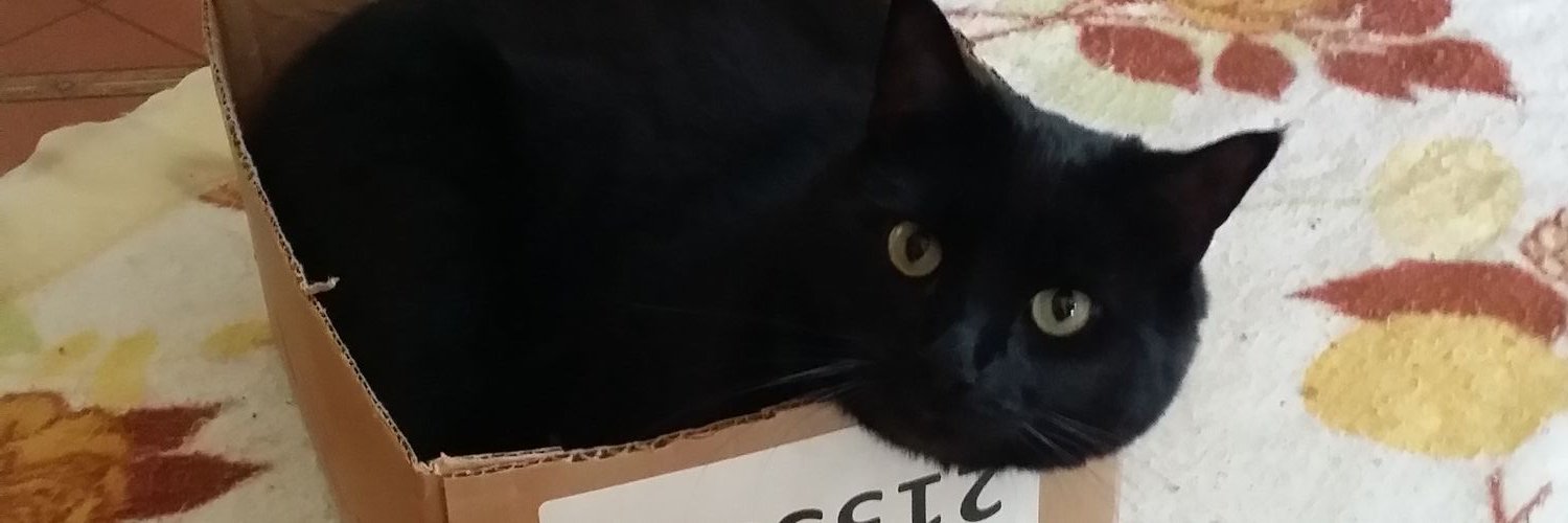 fuzziesooner's profile banner image