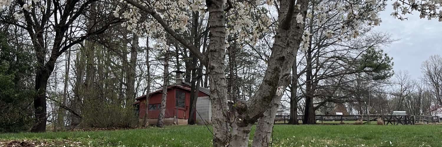 AnnMarieBee's profile banner image