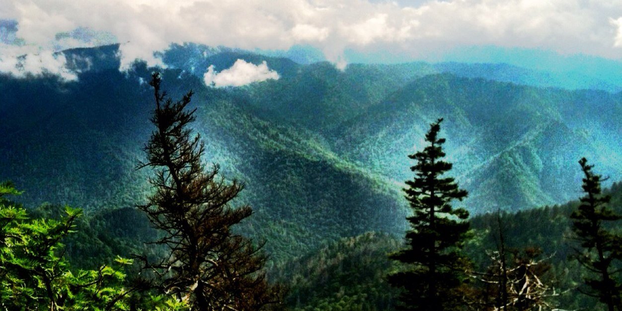 hill_mrh's profile banner image