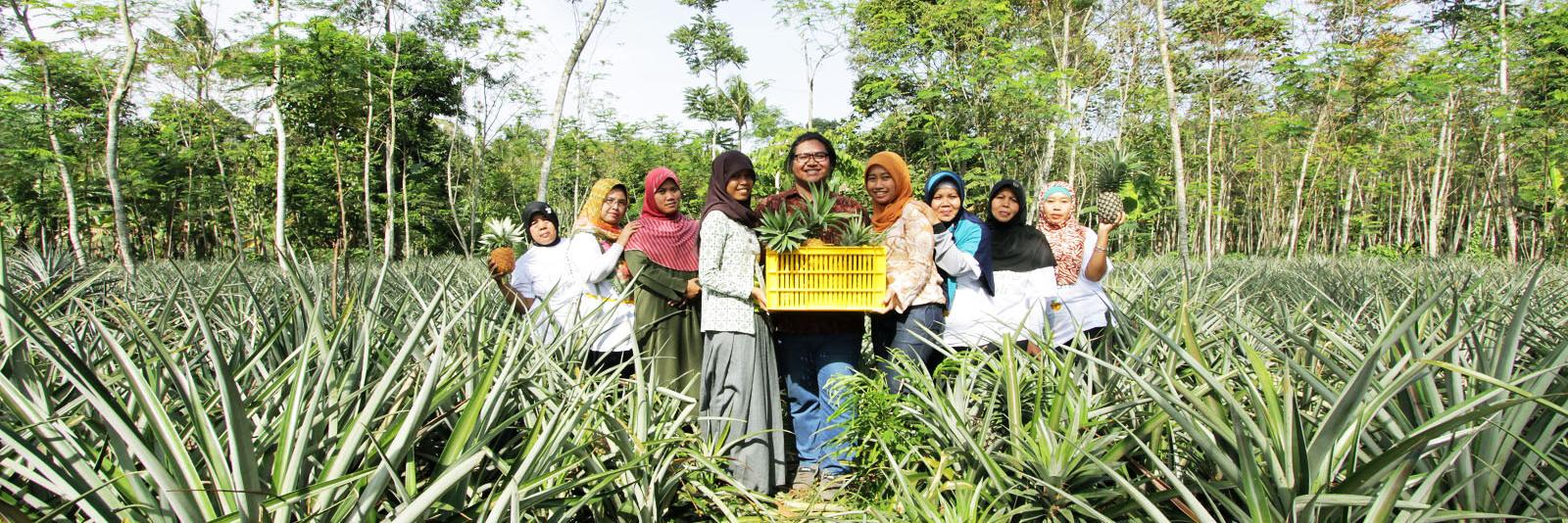 PinadrinkID's profile banner image