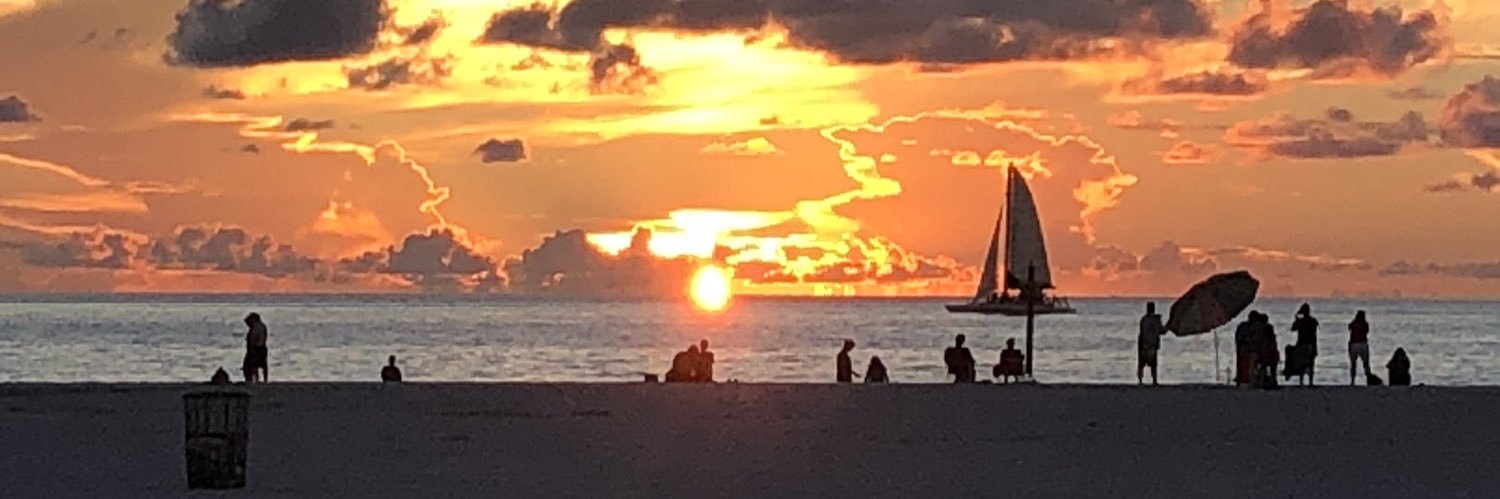 vincescarlet's profile banner image