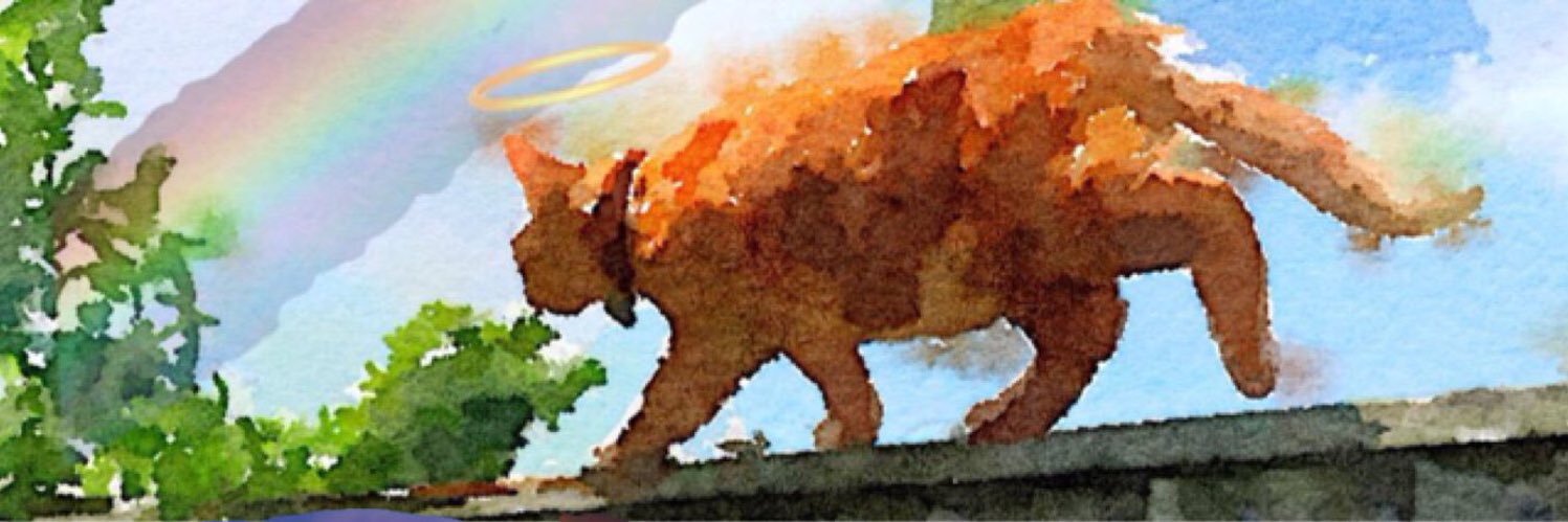 Angel Otto 🌈Fritz & Yser 🇺🇦 banner