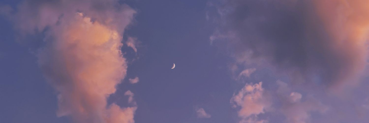 bastardo banner