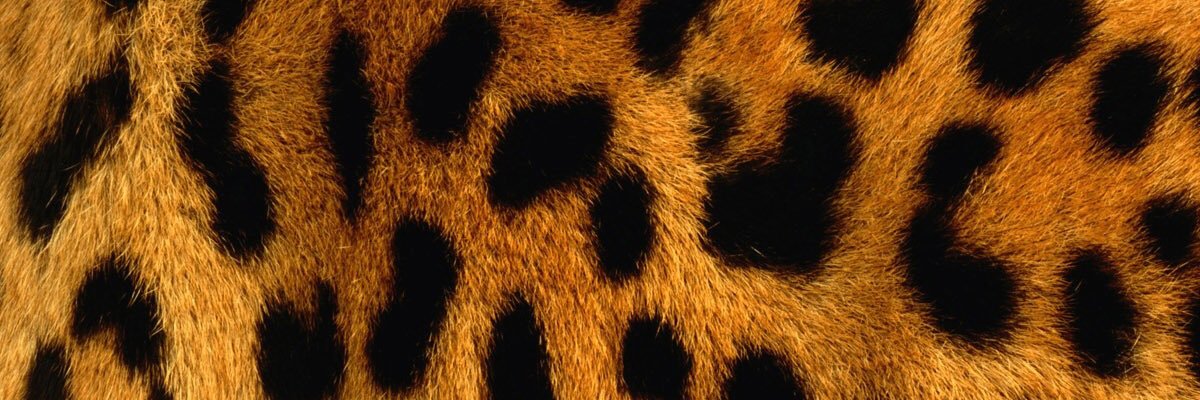 brilaalaa's profile banner image