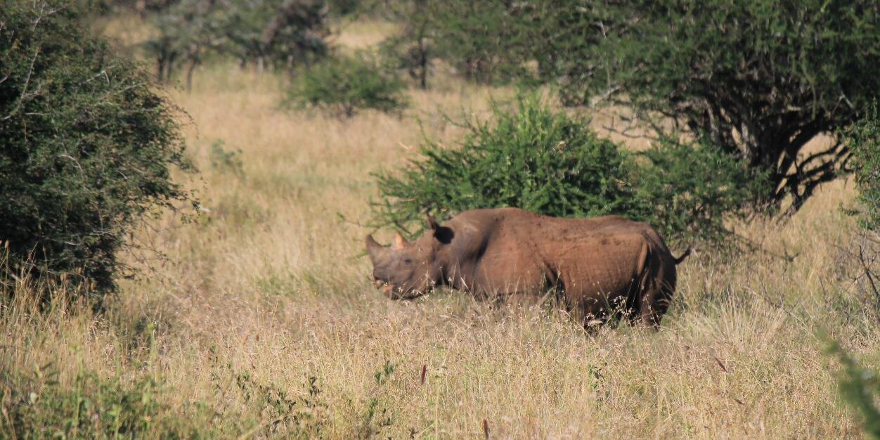 Melanie Beasley banner