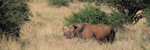 melmbeasley Profile Banner