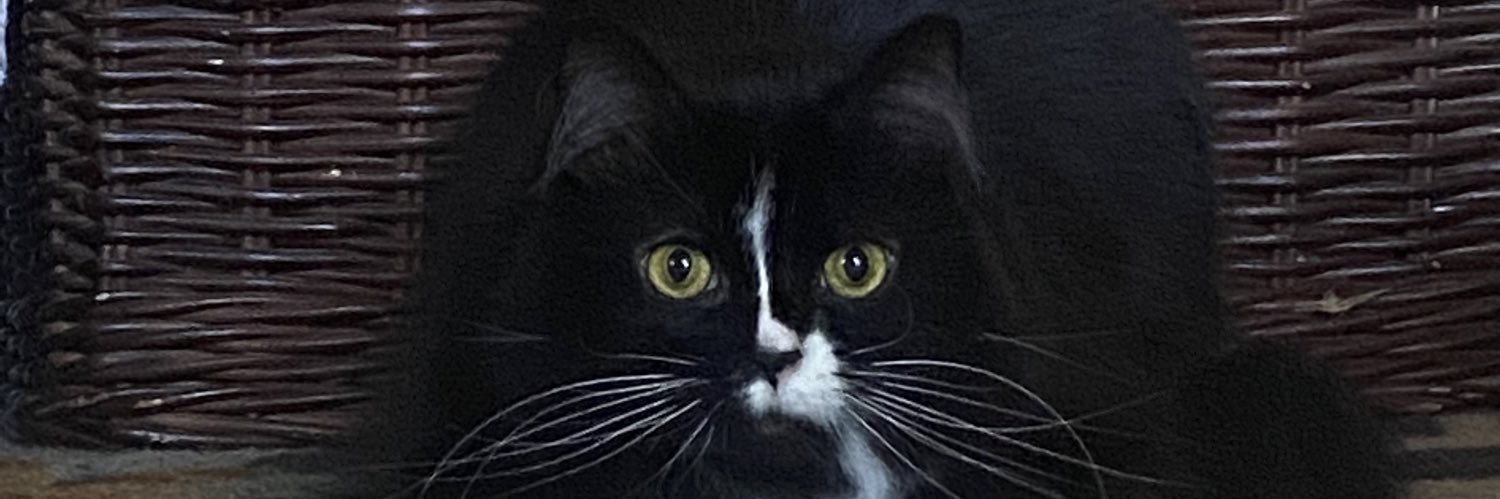 acklenwalker's profile banner image
