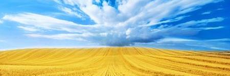 олег владимирович banner