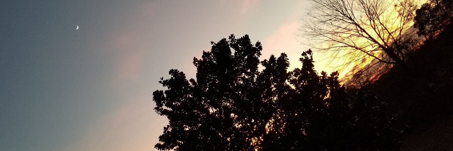arronecho's profile banner image